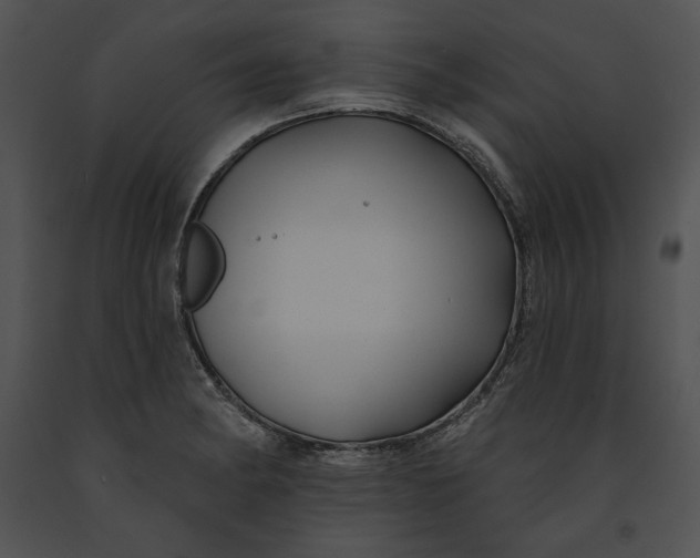 X0000091171182200708301149