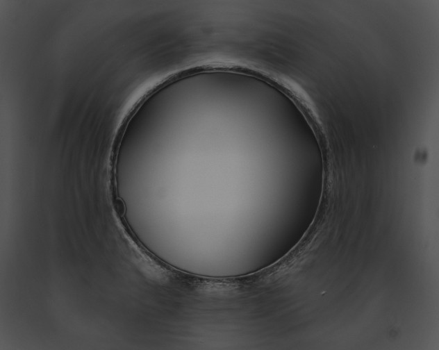 X0000091171183200708301149