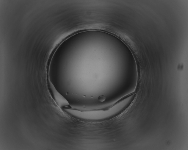 X0000091171184200708301149