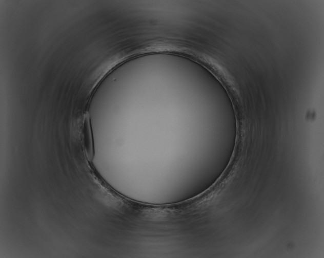 X0000091171185200708301149