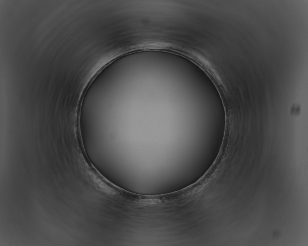 X0000091171186200708301149