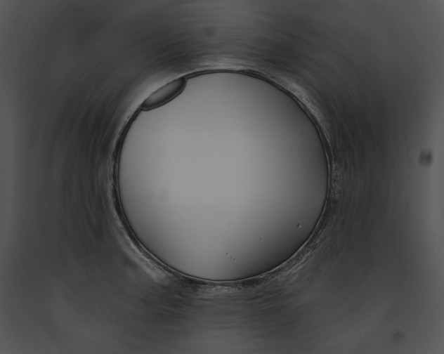 X0000091171187200708301149