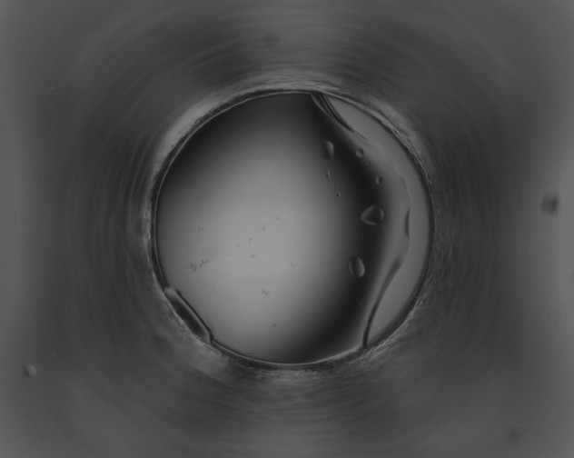 X0000091171188200708301149