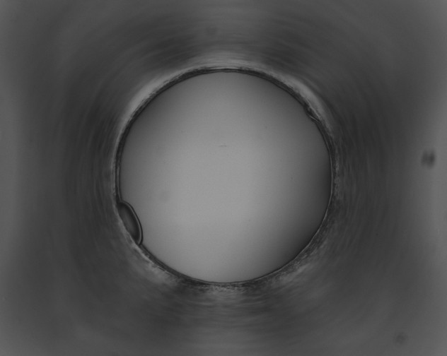 X0000091171191200708301149