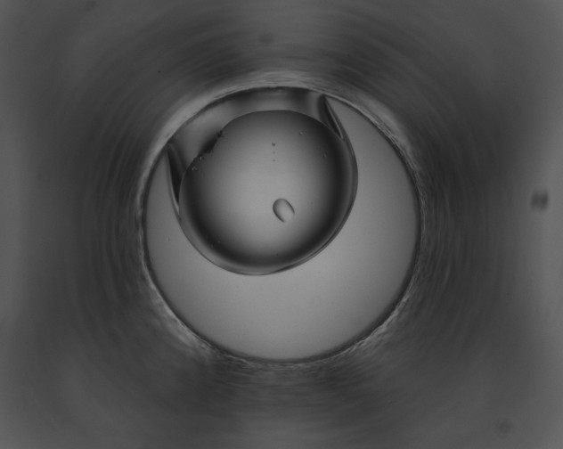 X0000091171192200708301149