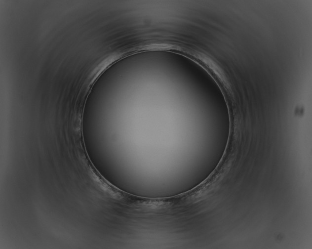 X0000091171193200708301149