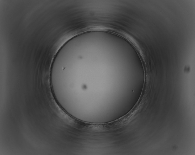 X0000091171194200708301149