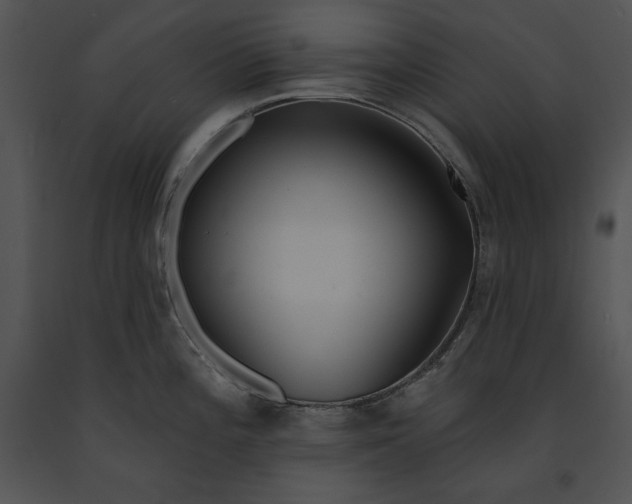 X0000091171196200708301149