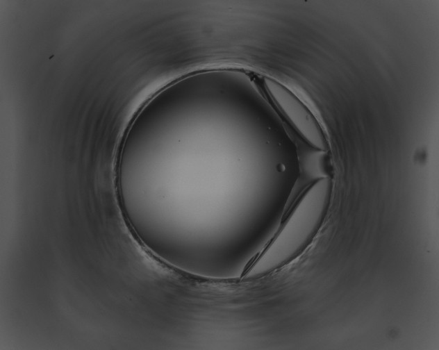 X0000091171197200708301149