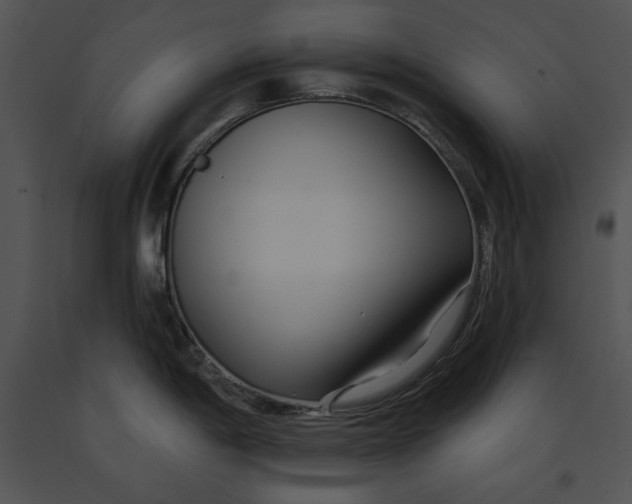 X0000091171198200708301149