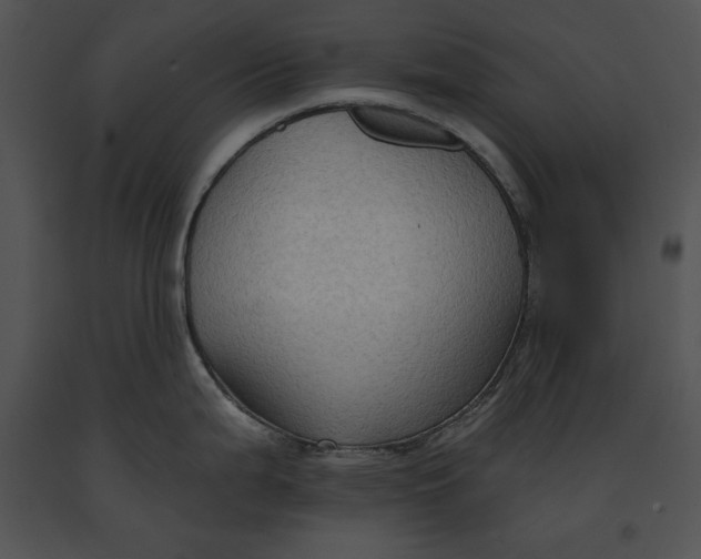 X0000091171199200708301149