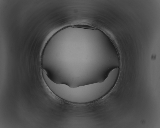 X0000091171200200708301149