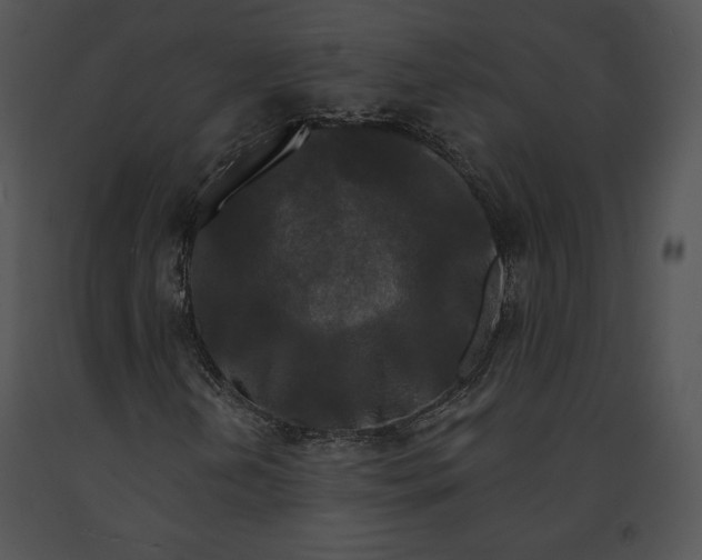 X0000091171202200708301148