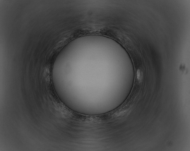 X0000091171203200708301148