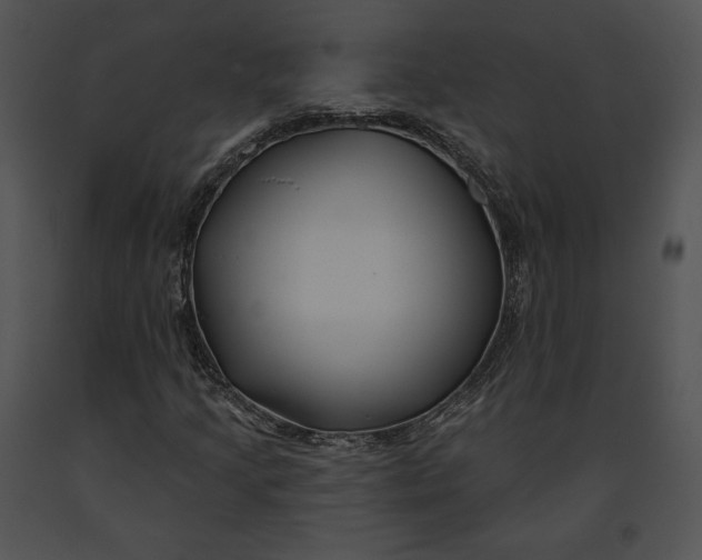 X0000091171205200708301148