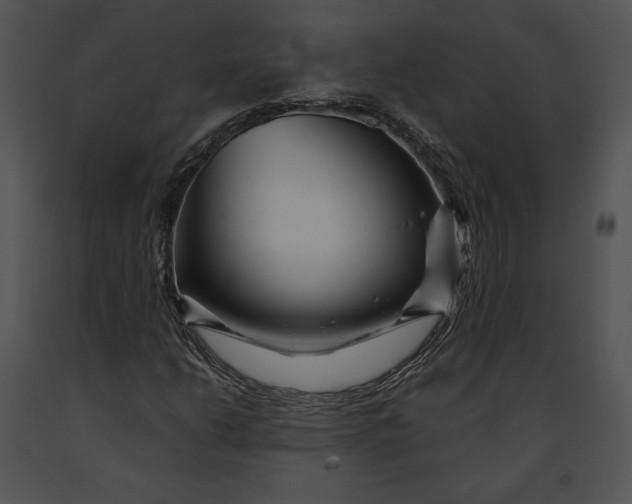 X0000091171206200708301148