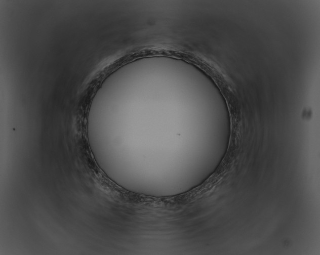 X0000091171207200708301148