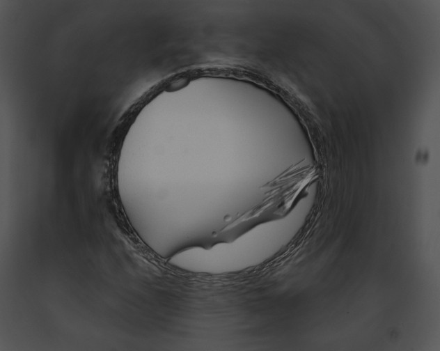 X0000091171208200708301148