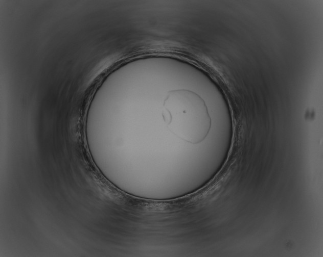 X0000091171211200708301148