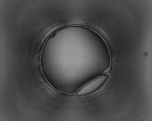 X0000091171212200708301148