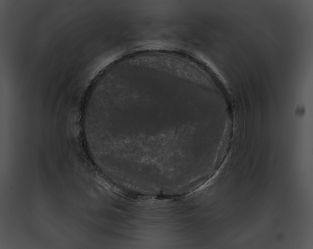 X0000091171213200708301148