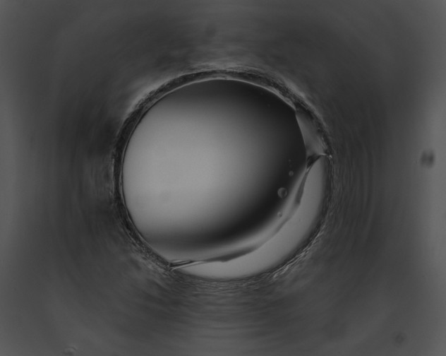 X0000091171214200708301148