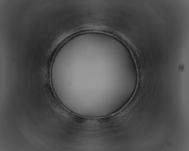 X0000091171215200708301148