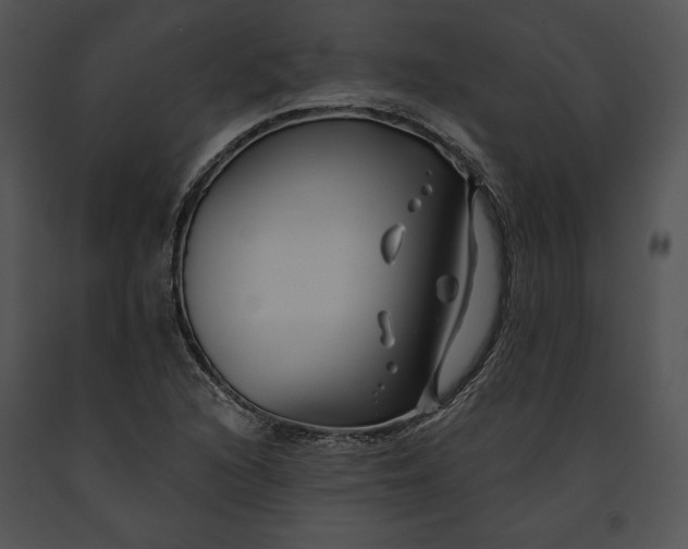 X0000091171216200708301148