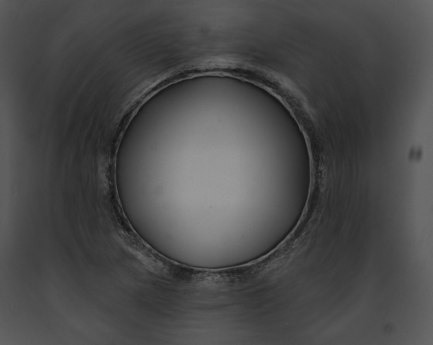 X0000091171217200708301148