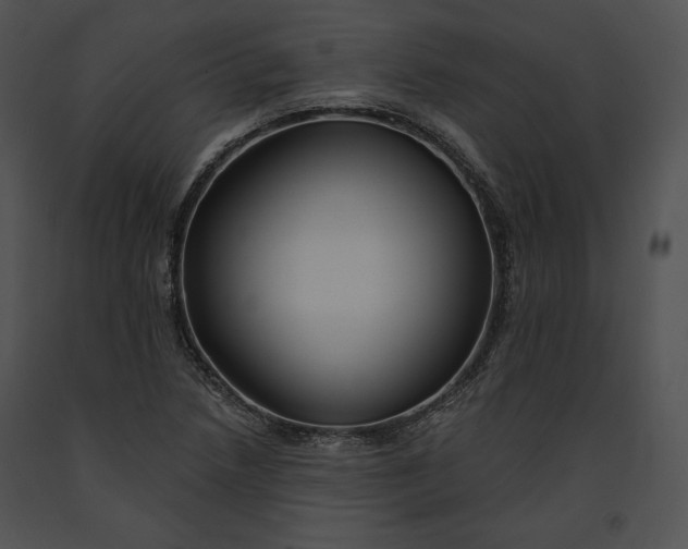 X0000091171218200708301148