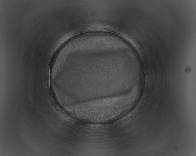 X0000091171219200708301148