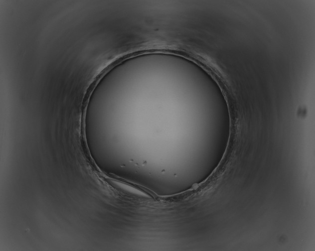 X0000091171220200708301148