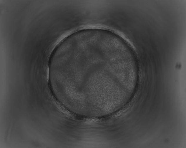 X0000091171221200708301148