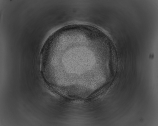 X0000091171223200708301148