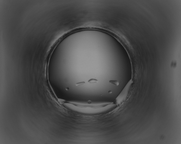 X0000091171224200708301148