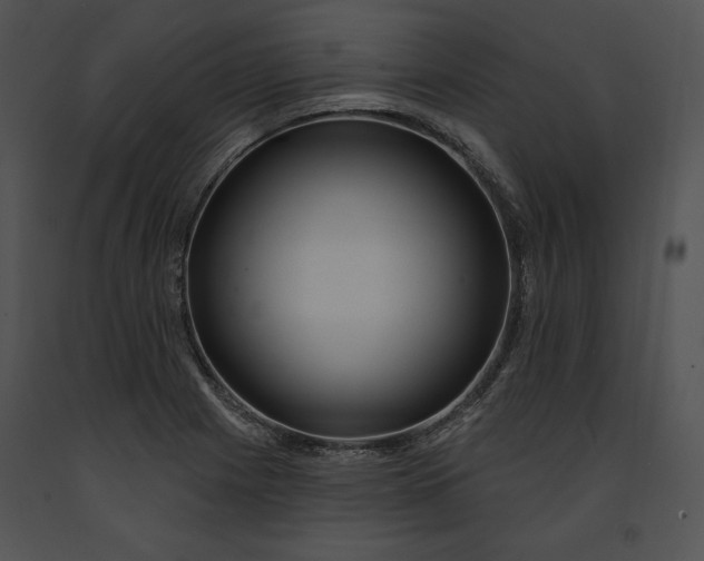 X0000091171225200708301148