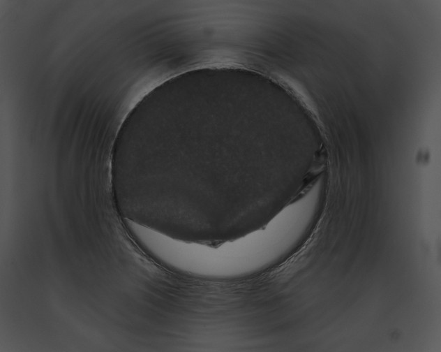 X0000091171226200708301148