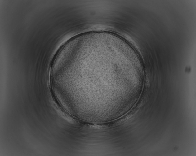 X0000091171227200708301148