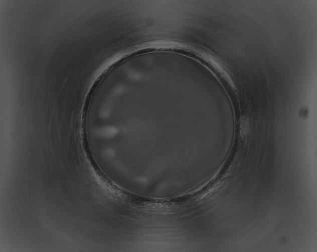 X0000091171229200708301148