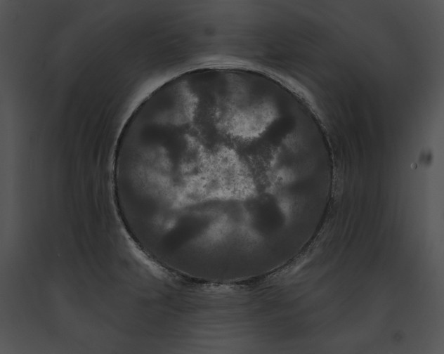 X0000091171231200708301148