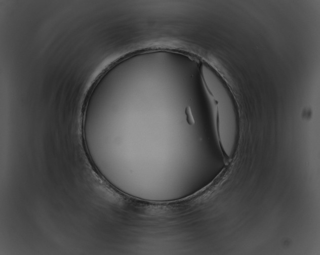 X0000091171232200708301148