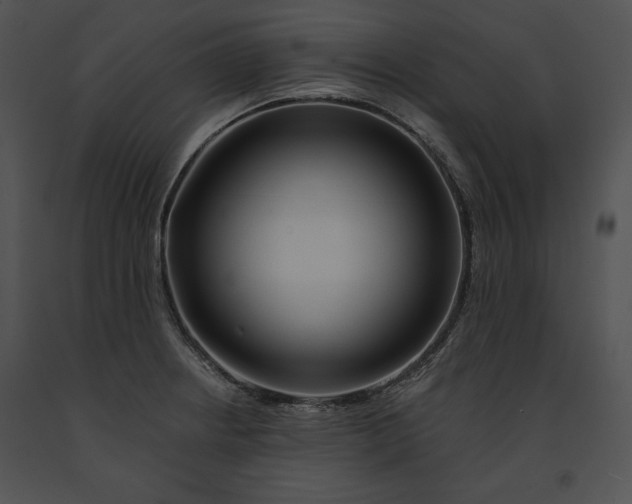 X0000091171234200708301149