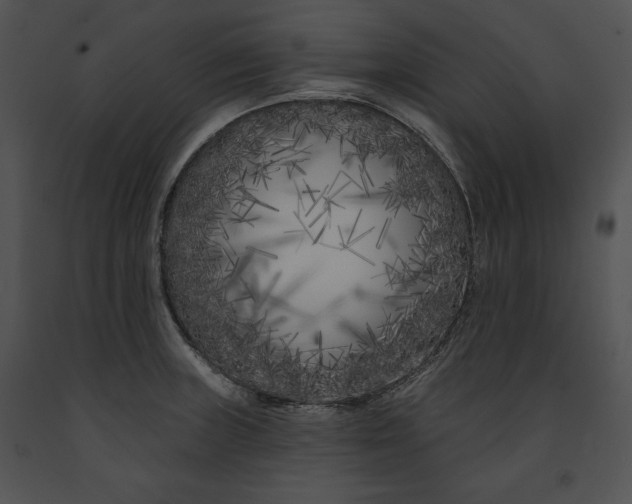 X0000091171235200708301149