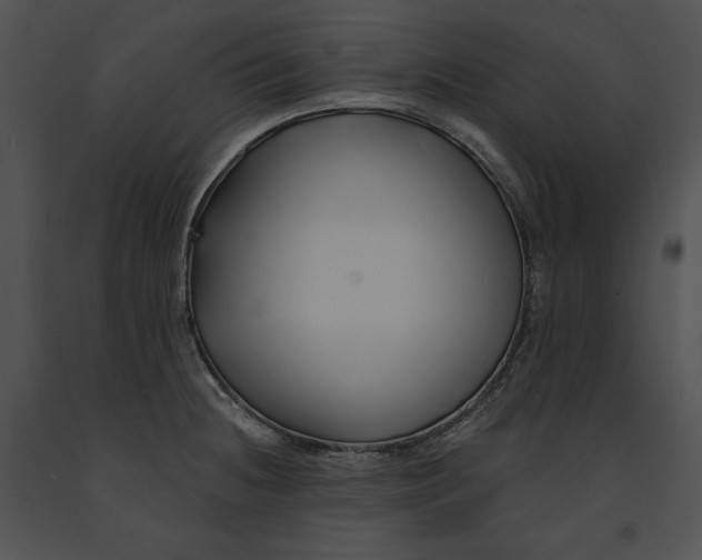 X0000091171236200708301149