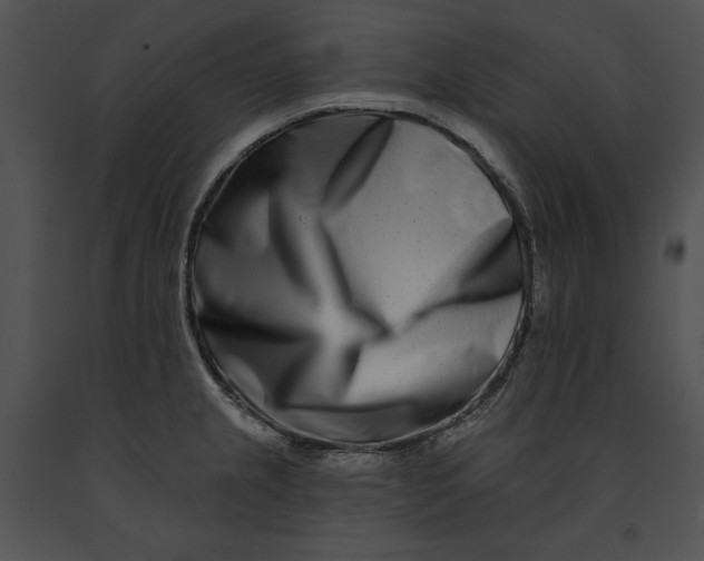 X0000091171237200708301149