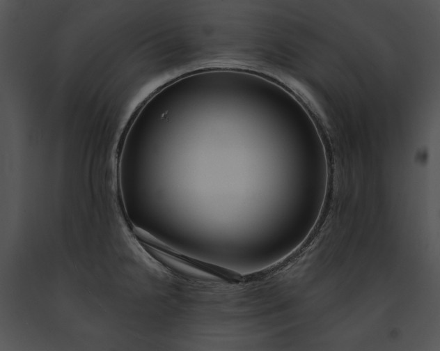 X0000091171238200708301149