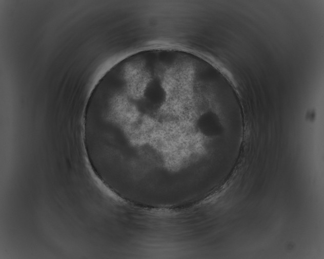 X0000091171239200708301149