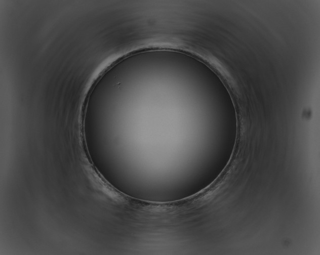 X0000091171240200708301149