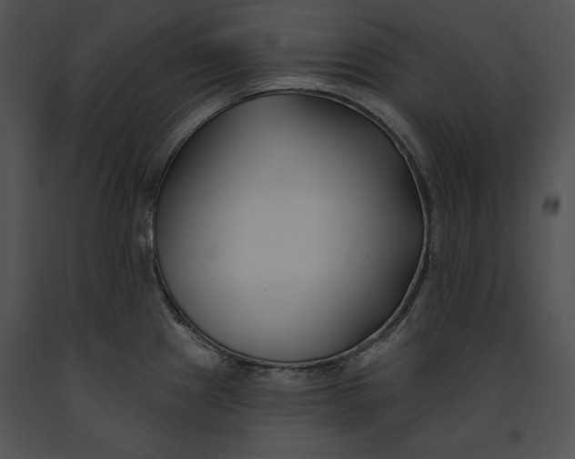 X0000091171241200708301149