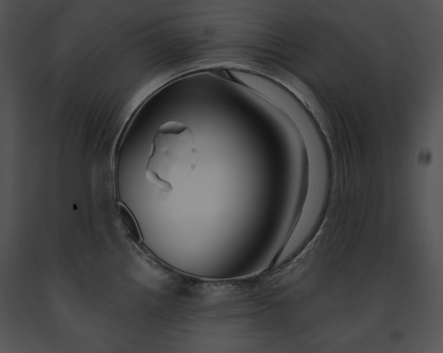 X0000091171242200708301149